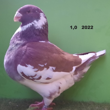 20221217_153207