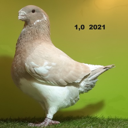 20231209_140709