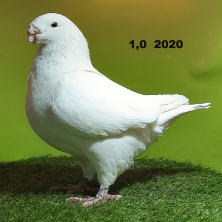 20231209_140846