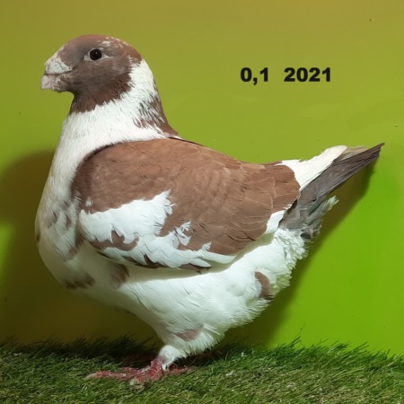 20231209_142013