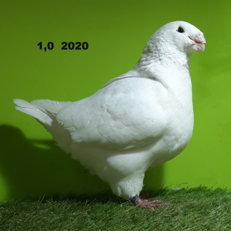 20240206_183048