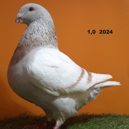 20241117_101057