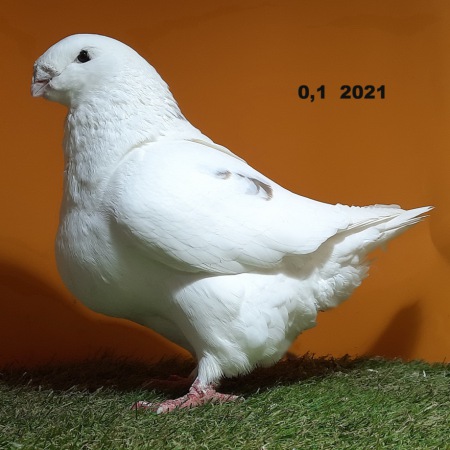 20241122_170419