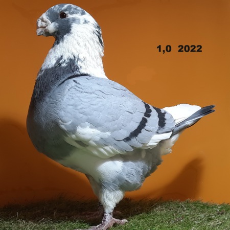 20241124_163118