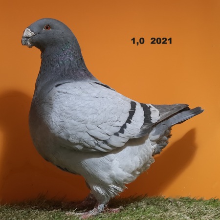 20241222_103409
