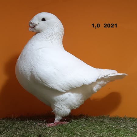 20241222_105727