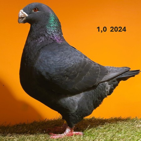 20241224_101316