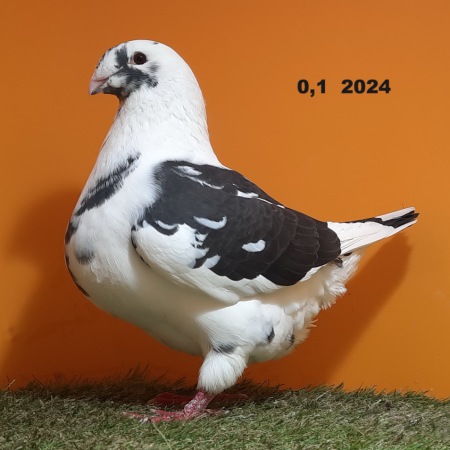 20241224_130213