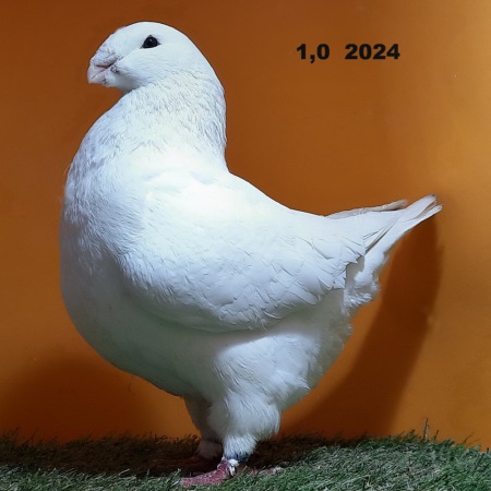 20241228_133128