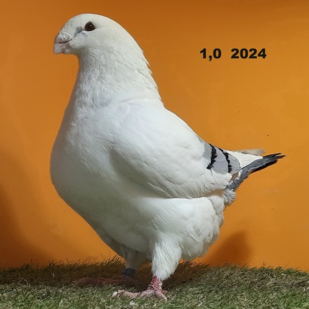 20250119_173604