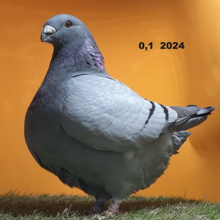 20250119_174953