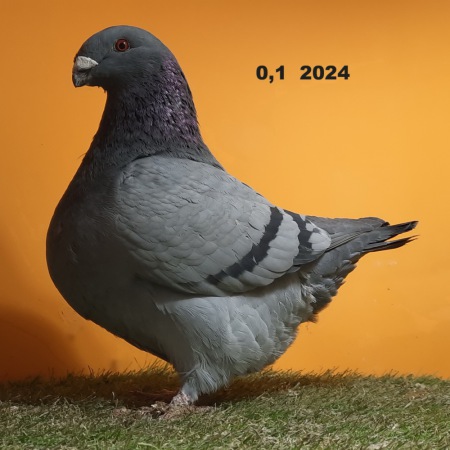 20250119_175712