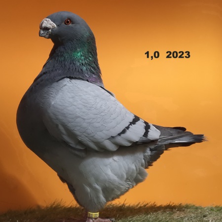 20250119_180222