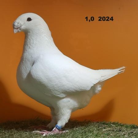 20250211_175442