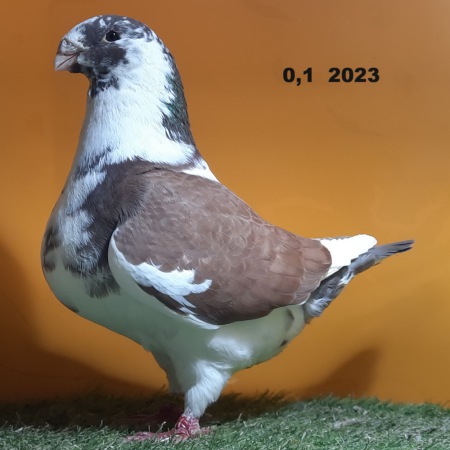 20250211_180045