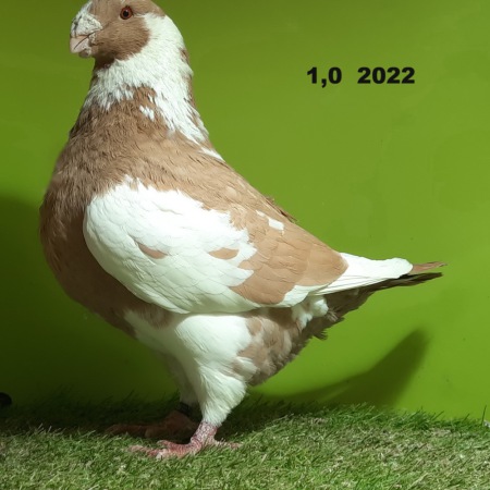 20250212_172602