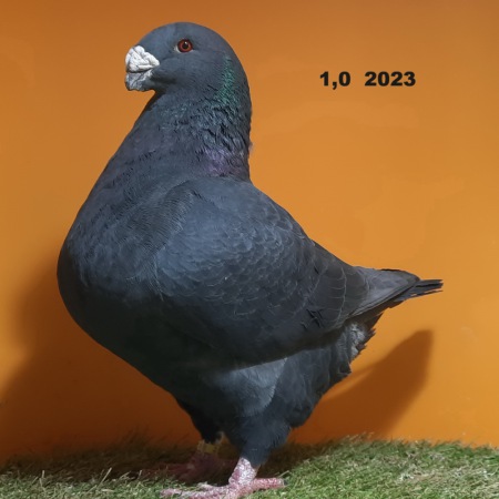 332