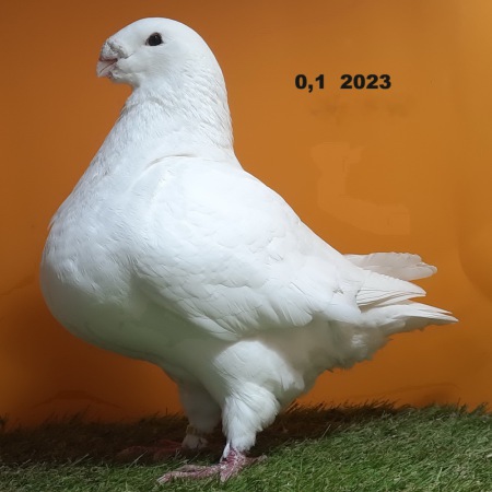 440