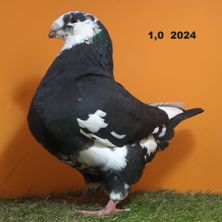 507