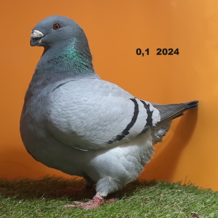 605