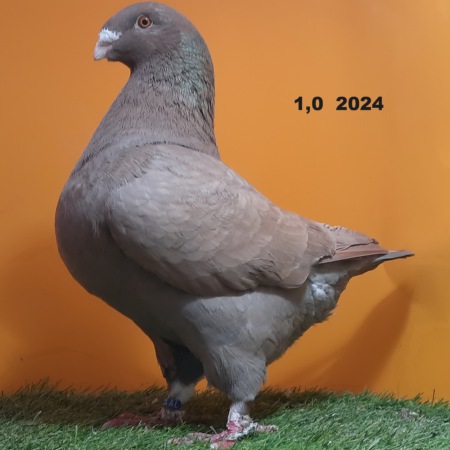 618