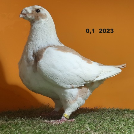 804