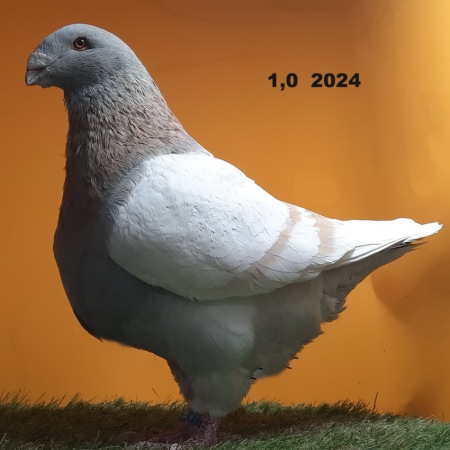 820
