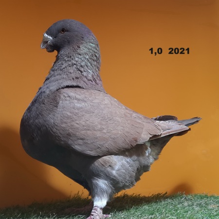 822