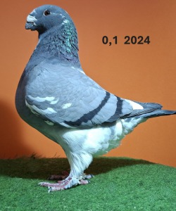 20251117_104450
