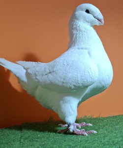 20251117_141734