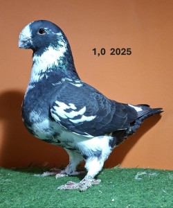 20251119_173318