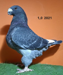 20251119_175308