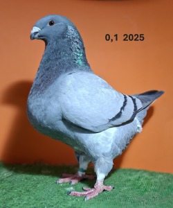 20251120_170821