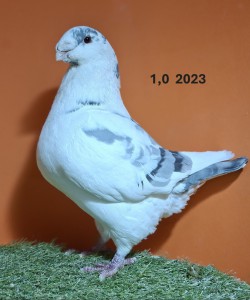20260102_153119