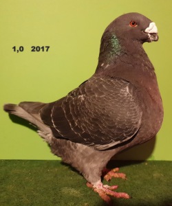 20191113_160748