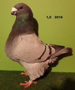 20191113_163415
