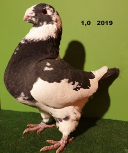 20191113_164209