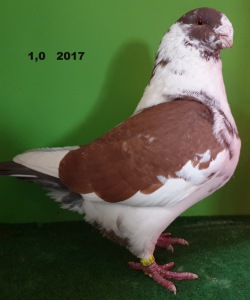 20191115_133928