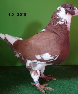 20191115_134642