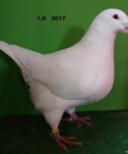20191115_135035