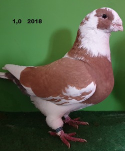 20191115_142837