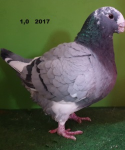 20191116_155625