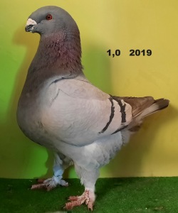20201114_120842