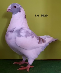 20201129_143534