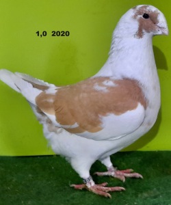 20201209_112143