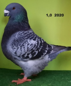20210105_095218