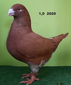 20210105_121220
