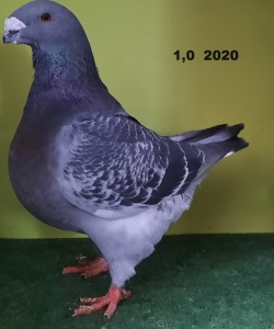 20210107_092838