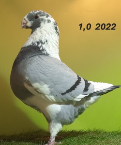20231126_135117