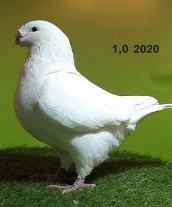 20231209_140843